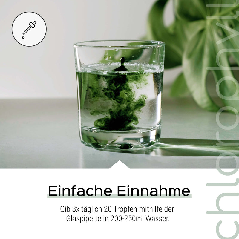 Chlorophyll Tropfen 50ml - Aus Alfalfa - Vegan, flüssig & hochdosiert - Liquid Chlorophyllin