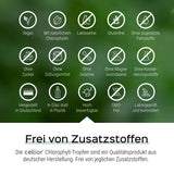 Chlorophyll Tropfen 50ml - Aus Alfalfa - Vegan, flüssig & hochdosiert - Liquid Chlorophyllin