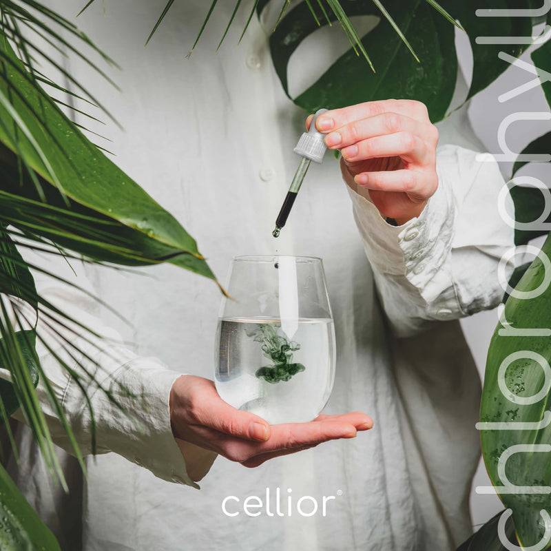 Chlorophyll Tropfen 50ml - Aus Alfalfa - Vegan, flüssig & hochdosiert - Liquid Chlorophyllin