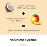 Vitamin-Set mit 1x Vitamin D3 Tropfen (Mango) und 1x Vitamin B12 Tropfen (Himbeere) - hochdosiert